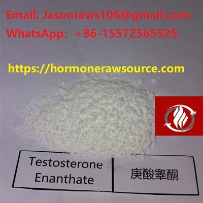 Premium-Testosteron-Enantat-Pulver für Bodybuilding CAS: 315-37-7