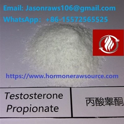 Hochwertiges Testosteronpropionat-Pulver für Bodybuilding CAS: 57-85-2